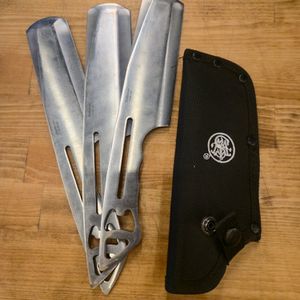 Smith & Wesson bullseye