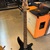 Yamaha / RBX260 / Bass Guitar / Black