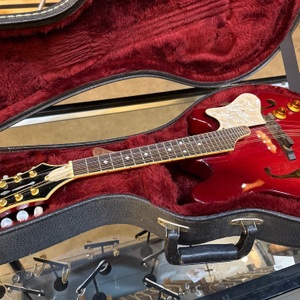Fender / FM-62SCE / Electric Mandolin (2002)