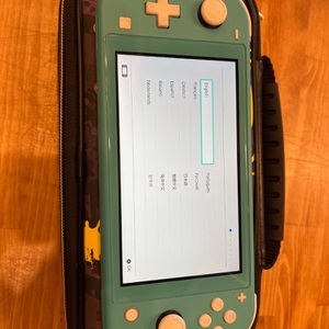Nintendo / Switch / Lite (Blue)