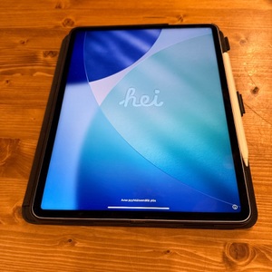 Apple / MNXP3LL/A / iPad / Pro / 128GB / 6th Gen WITH APPLE PEN