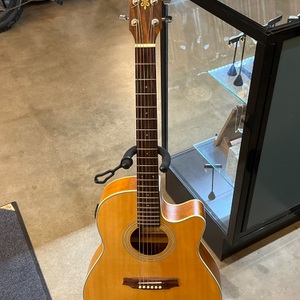 IBANEZ / AE10 / ACOUSTIC GUITAR