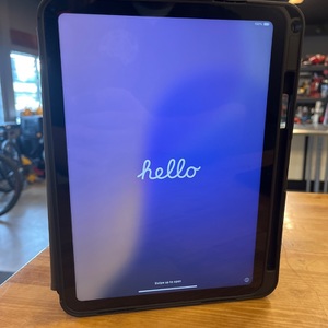 Apple / MPQ83LL/A  / 10th Gen iPad / 256gb