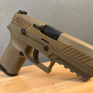 SIG SAUER / P320 / Semi-Automatic Pistol in 9x19 with Holster