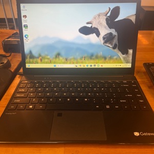 Gateway / GWTN141-10BK 