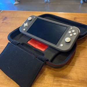 Nintendo / HDH-001 / SWITCH LITE