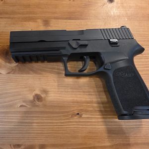 SIG SAUE INC P250