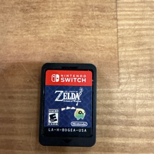  Nintendo / Switch / Zelda: Echoes of Wisdom