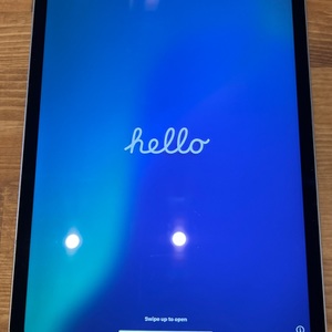 Apple / iPad Pro (4th Gen) 11"