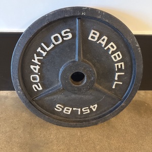 FREE WEIGHT 45 LBS
