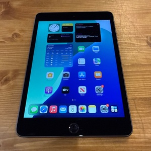IPAD MINI 5TH GEN 64GB 
