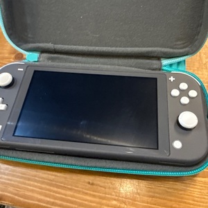 NINTENDO SWITCH LITE IN CARRYING CASE