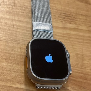 Apple / A2622 / Watch (Ultra 1st Gen) (49mm)