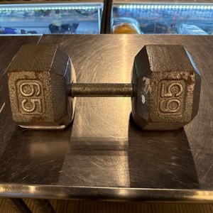 SINGLE 65ILBS DUMBELL