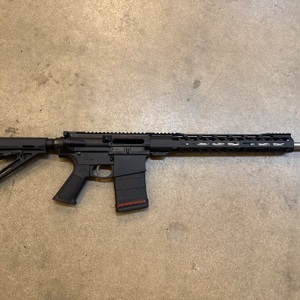 PALMETTO STATE ARMORY  G3-10WITH 2 MAGS 