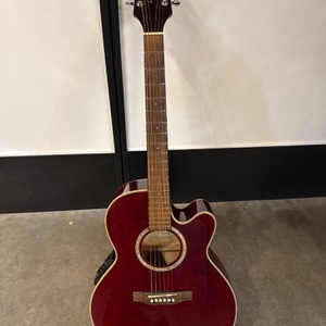 TAKEMINE G SERIES EG540C RED WITH HARDSHELL CASE