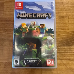 NINTENDO SWITCH MINECRAFT