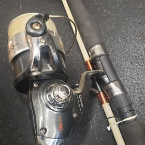 Quantum BILL DANCE 80