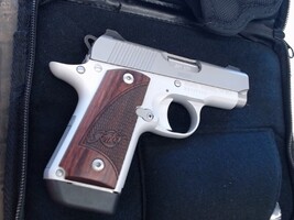 Kimber Micro 380