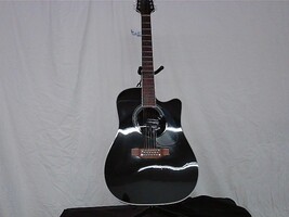  Takemine 12 string Guitar Acoustic/Electric