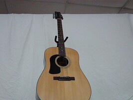 Washburn 