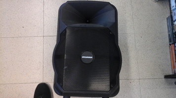 sylvania tailgate tailgate 12" SPA122