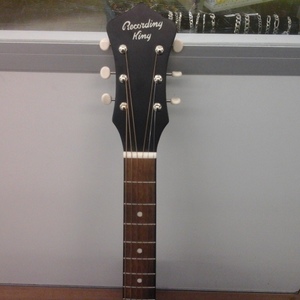 Recording King Acoustic