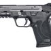 Smith And Wesson m&p 9 shield ez