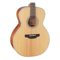 Takamine GN20