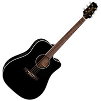 Takamine Eg341SC
