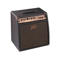Peavey Ecoustic     110efx