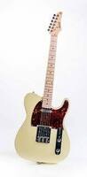 Nashville Guitar Works 120IV 