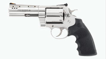 Colt kodiak