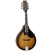 Tanglewood TWMOSVSG