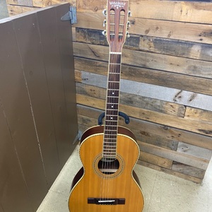 Washburn Parlor Acoustic:  WP24SNS