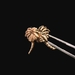  14K Yellow Gold Palm Tree Stud Earrings 0.30dwt (0.5g)