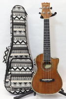 mitchell mu-100ce/n acoustic/electric concert ukulele with hola! music case
