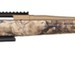 Ruger American 'Go Wild