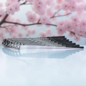 Callaway Paradym 6-AP Wedge Iron Set 