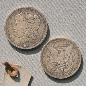 MIXED DATES MORGAN DOLLAR **$10 OVER MELT**