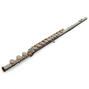 Andreas Eastman EFL220 Student Model Flute – Used – With Case