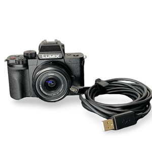 Panasonic Lumix DC-G100 Mirrorless Camera w/ 12-32mm Lens – Used 