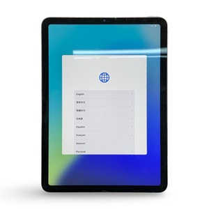 Apple iPad (Model MM9L3LL/A) – Used with Blue Case