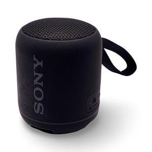 Sony SRS-XB12 Bluetooth Speaker – Used (No Power Cord)