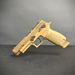 SIG SAUER M17