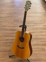 Parkwood Dreadnaught PW310M Acoustic Guitar Rare Vintage China - VWG 323586