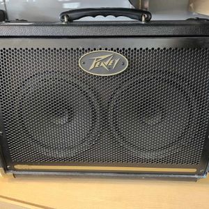 ecoustic 208 amp