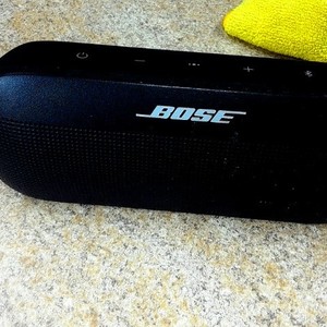 bose flex se .