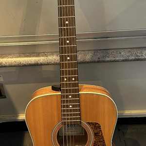 Cort l100c-ns