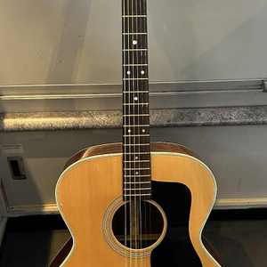 Takamine F-365